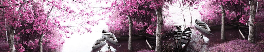 skinali 1286